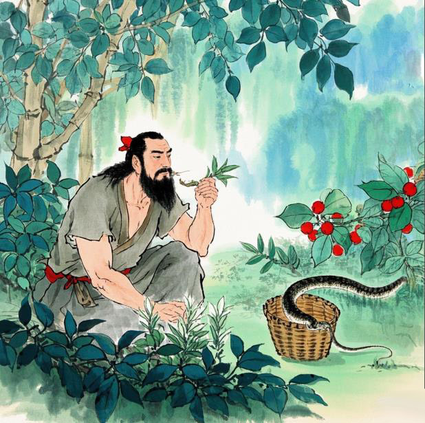 神农尝百草